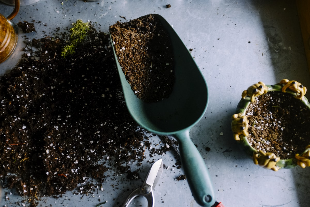 Servicio de jardinería en Barcelona — Manitas Barcelona 24